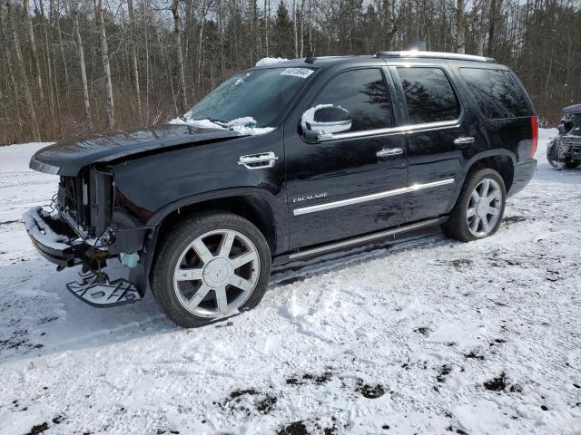 Cadillac Escalade (2010)