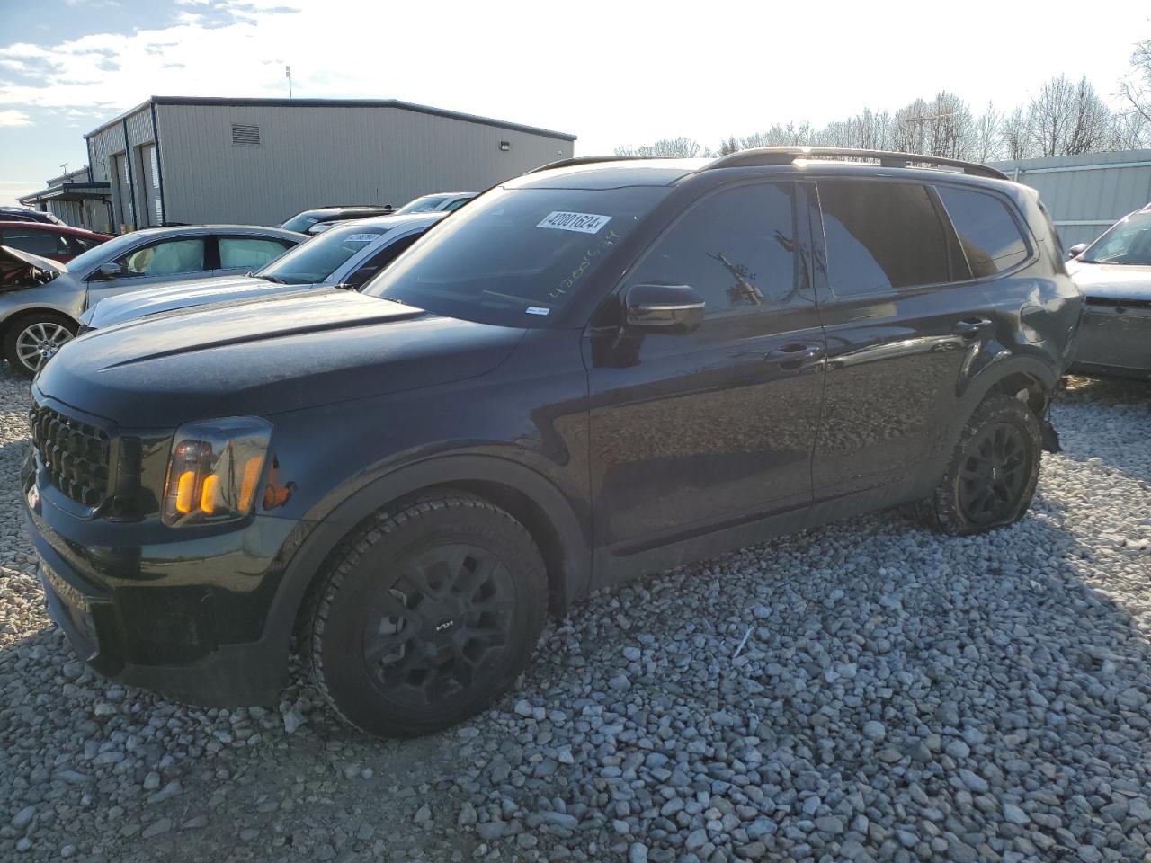 Kia Telluride (2024)