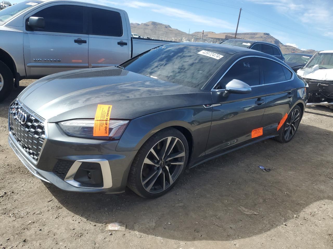 Audi Rs5 (2022)