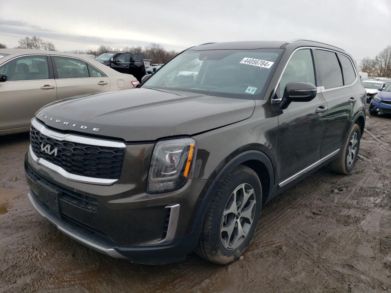 Kia Telluride (2022)