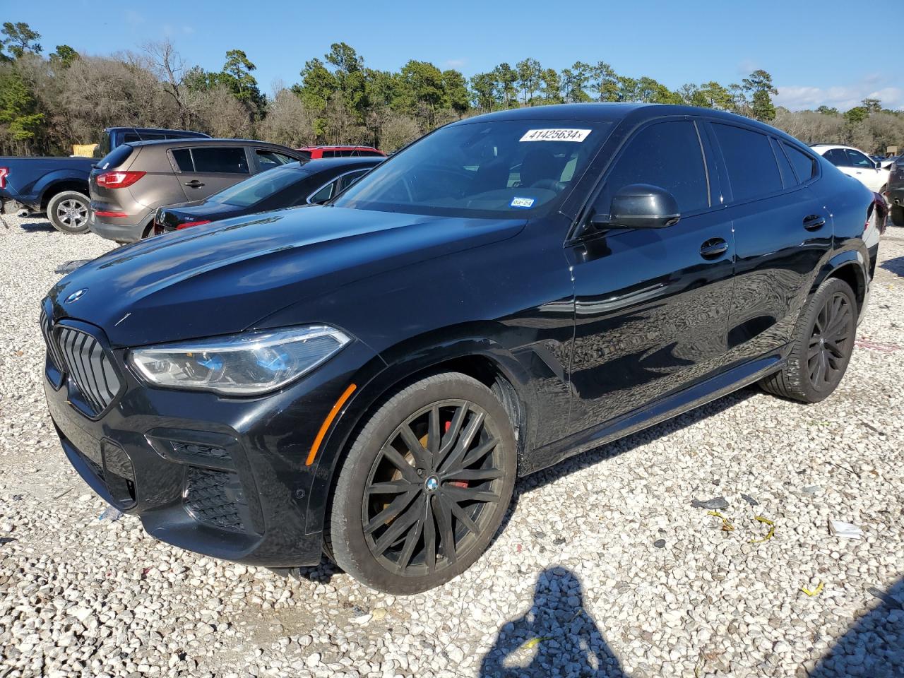 Bmw X6 (2022)