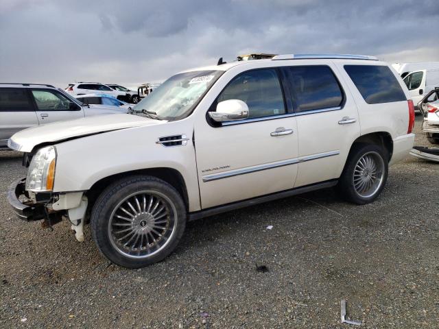 Cadillac Escalade (2011)
