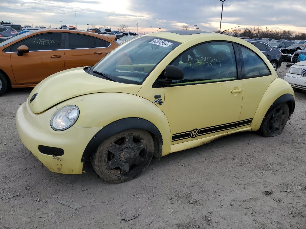 Volkswagen Beetle (2000)