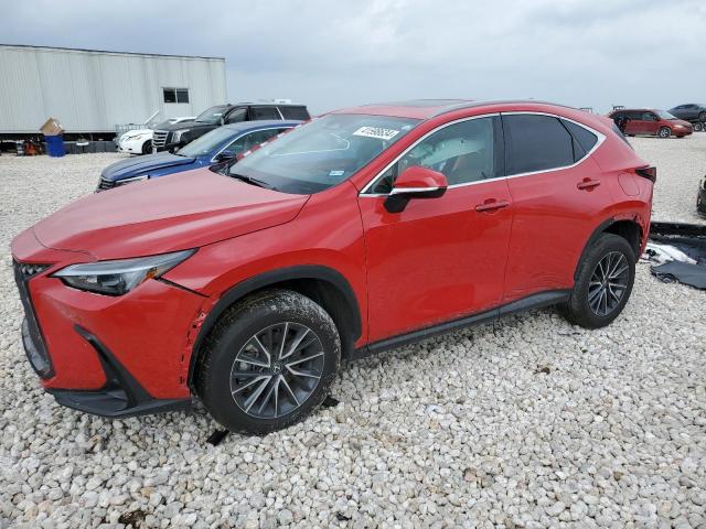 Lexus Nx 250 pre (2024)