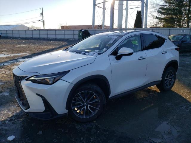 Lexus Nx 350 (2022)