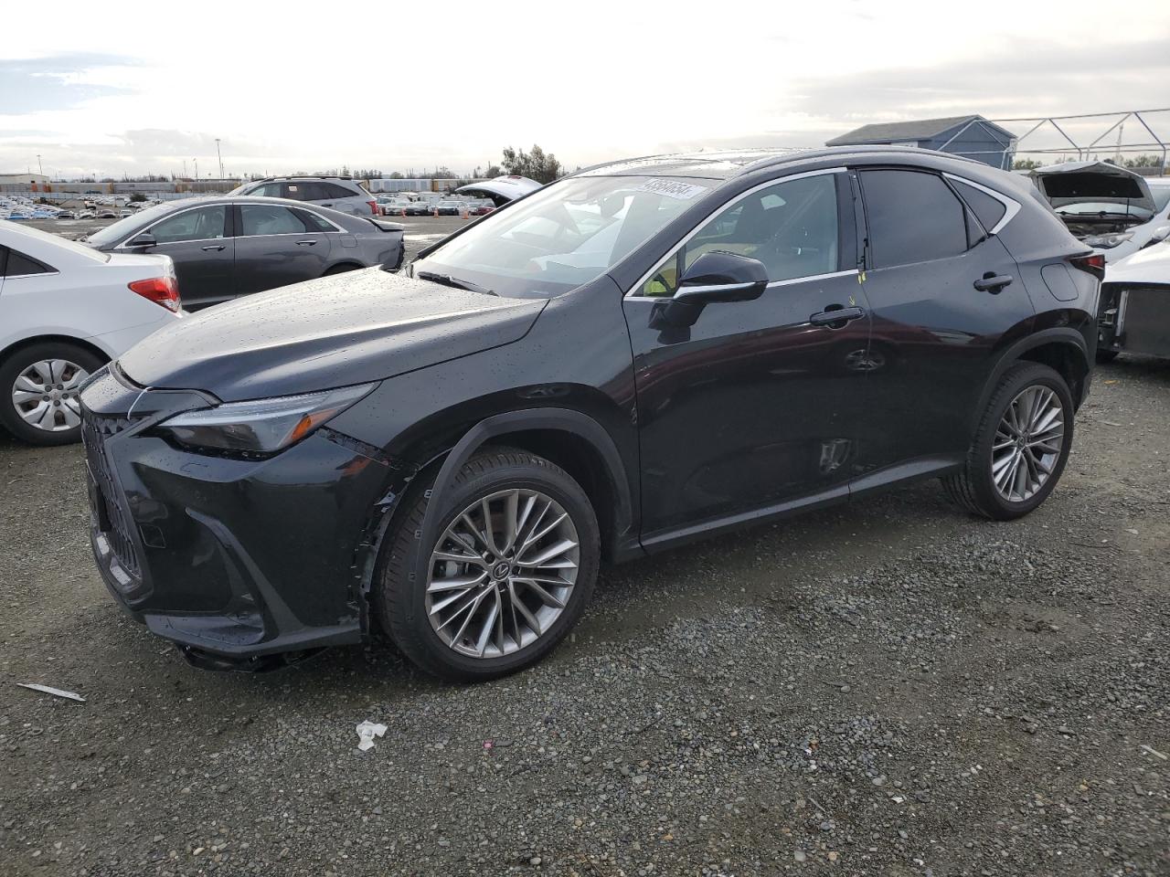 Lexus Nx-300h (2024)