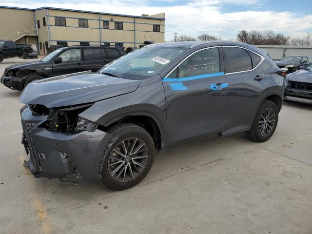 Lexus Nx 350 (2023)