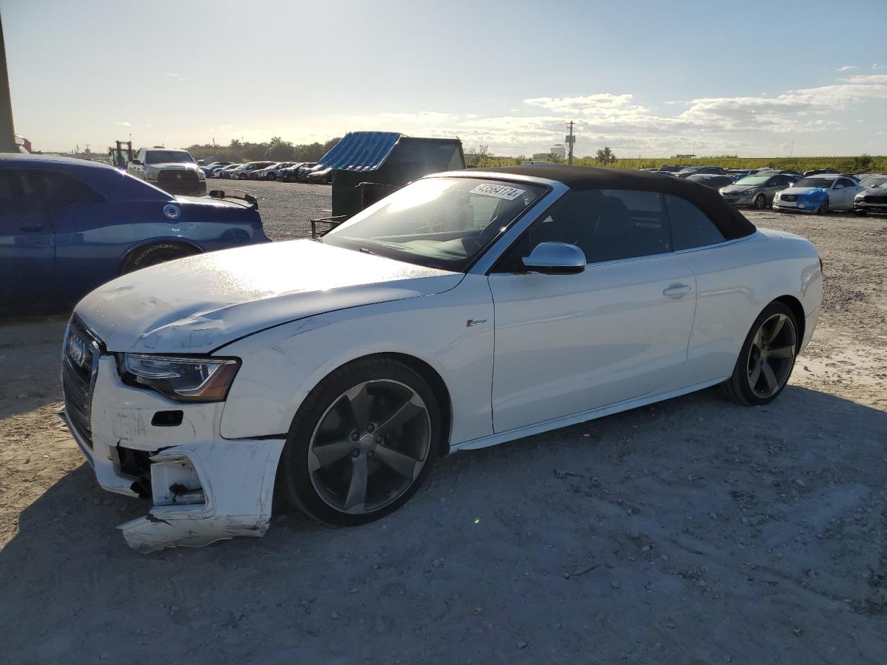 Audi Rs5 (2017)