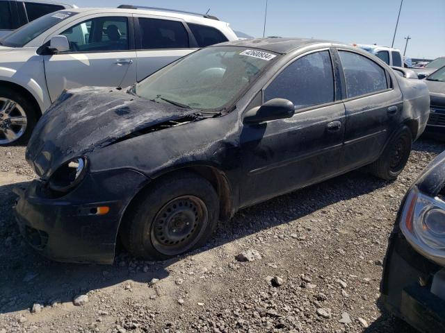 Dodge Neon (2003)