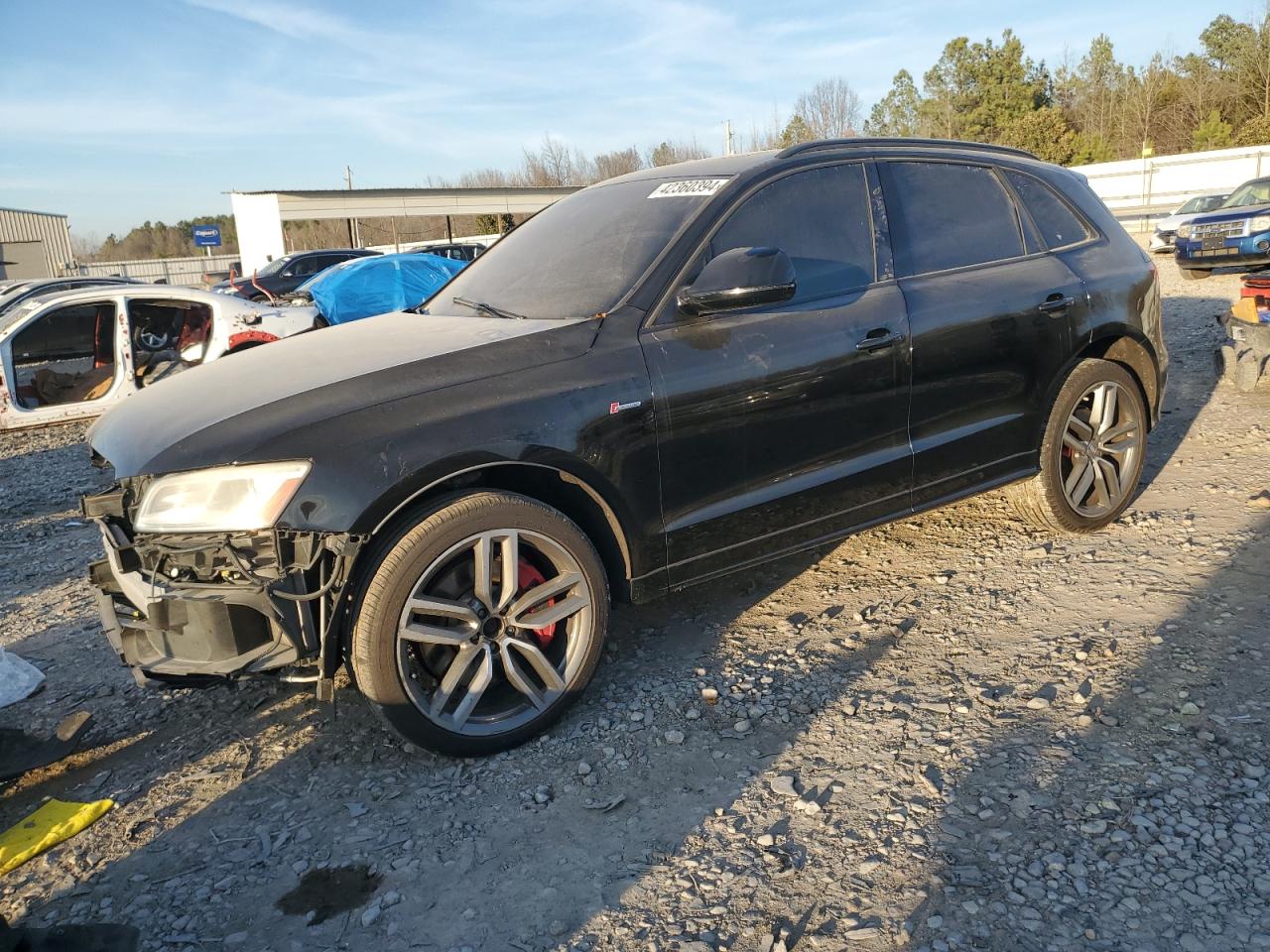 Audi Sq5 (2016)