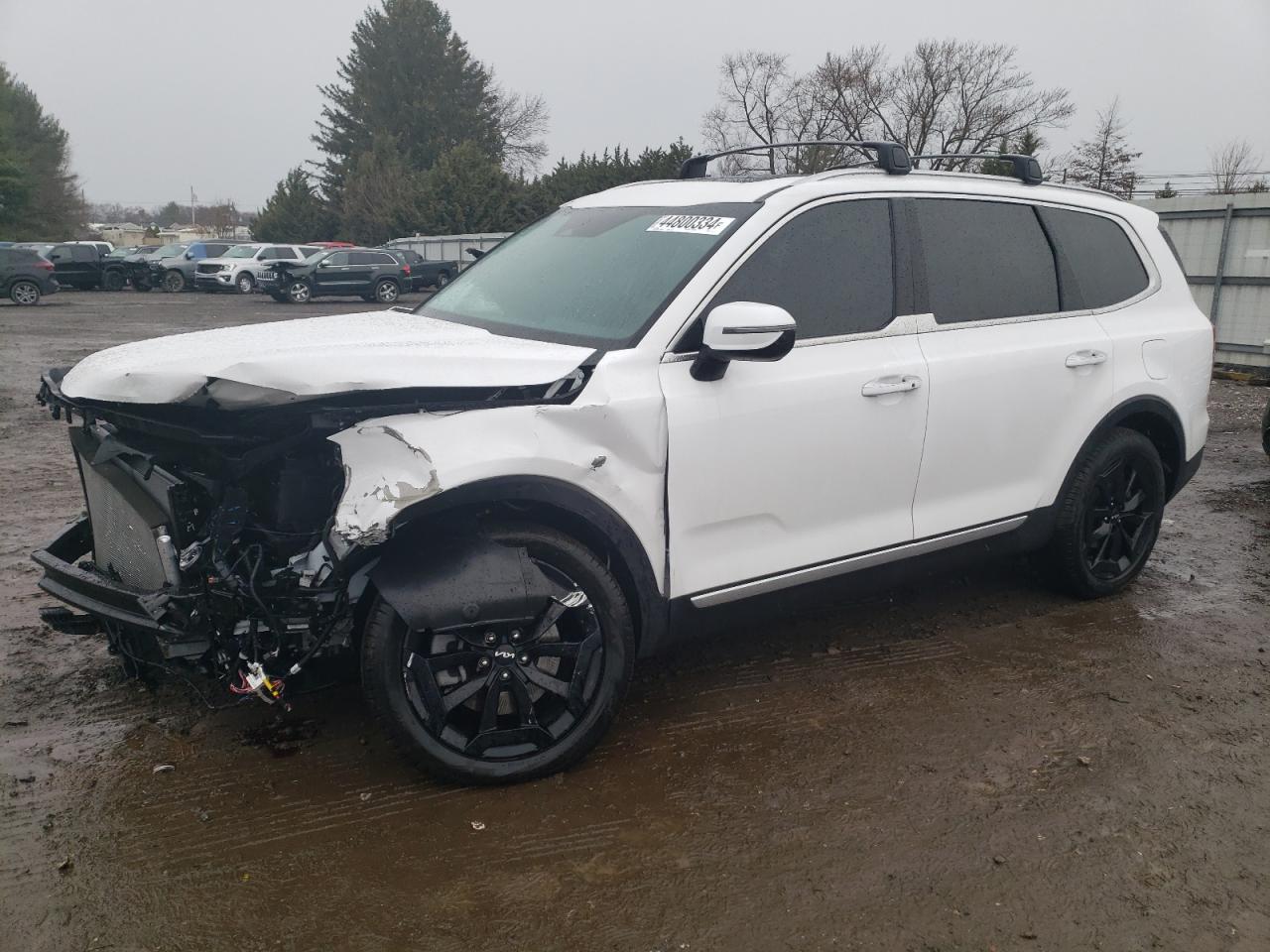 Kia Telluride (2024)