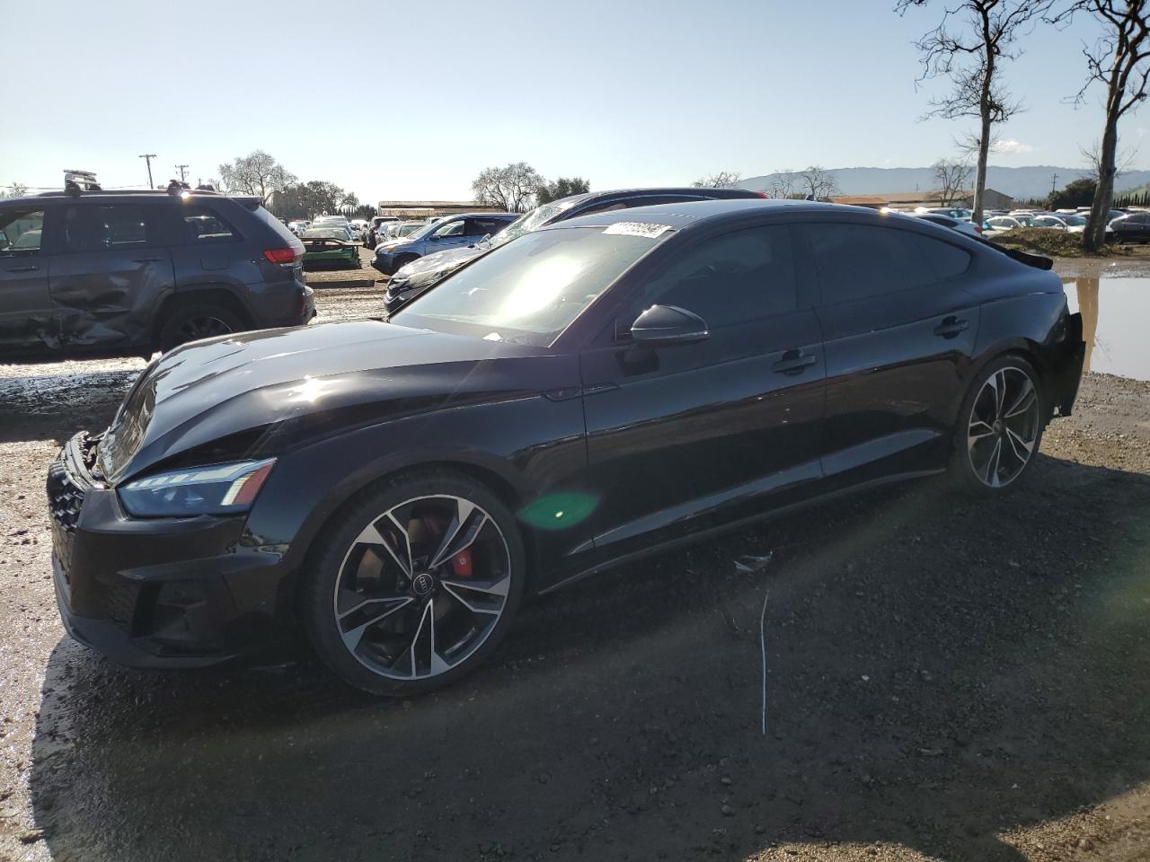 Audi Rs5 (2023)