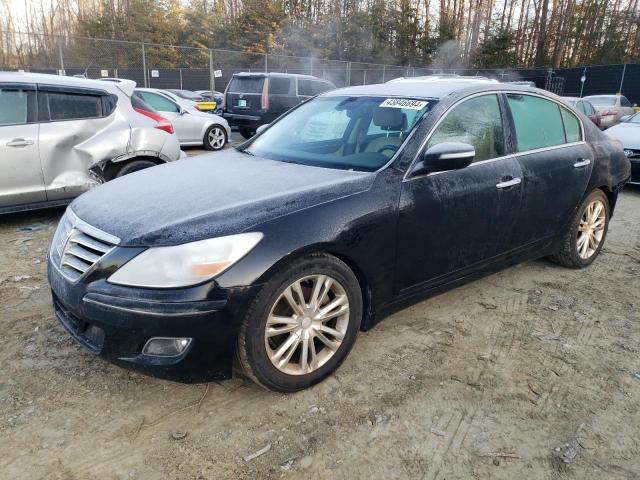 Hyundai Genesis (2010)