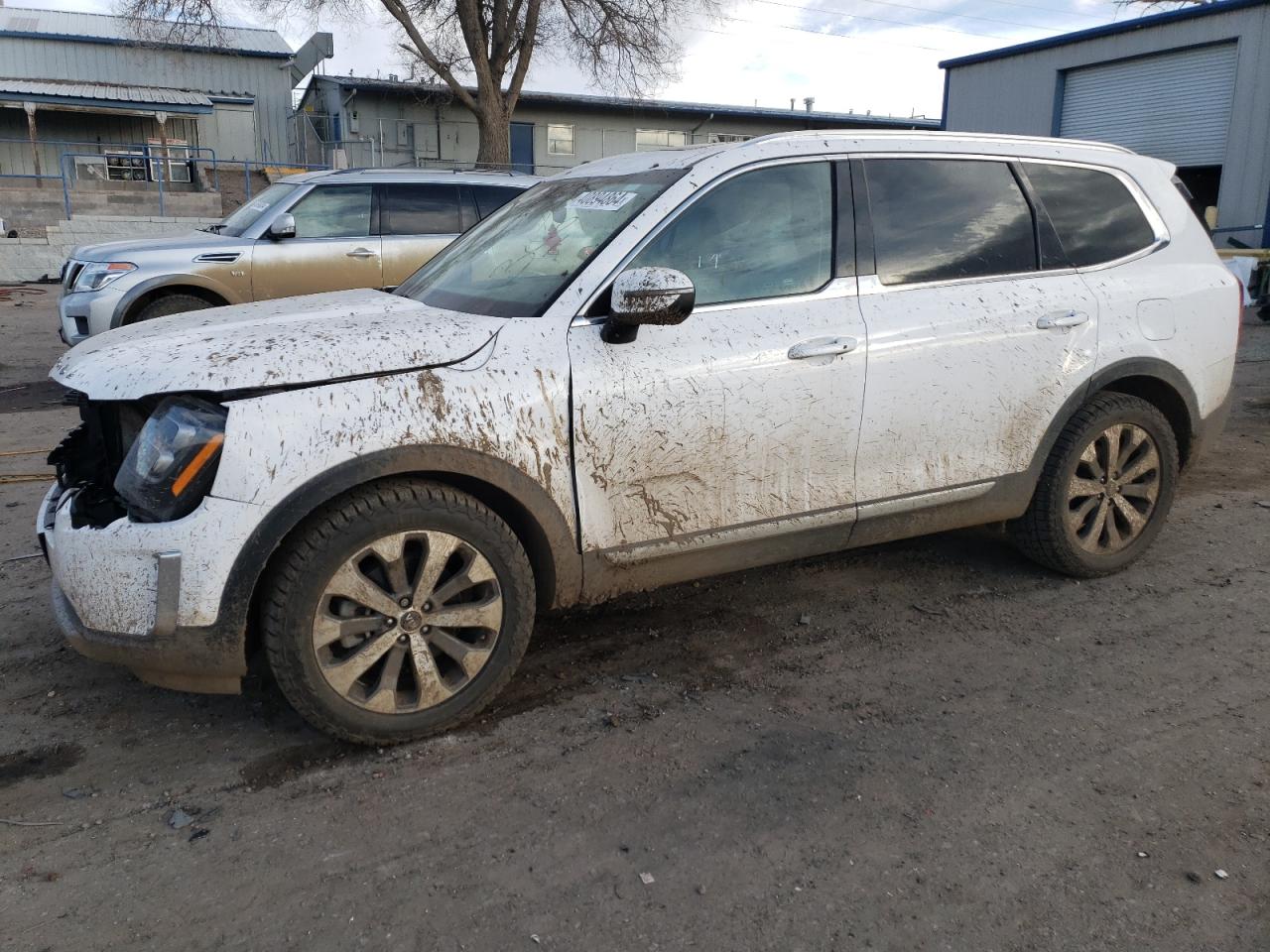 Kia Telluride (2021)