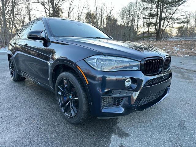 Bmw X6 (2015)