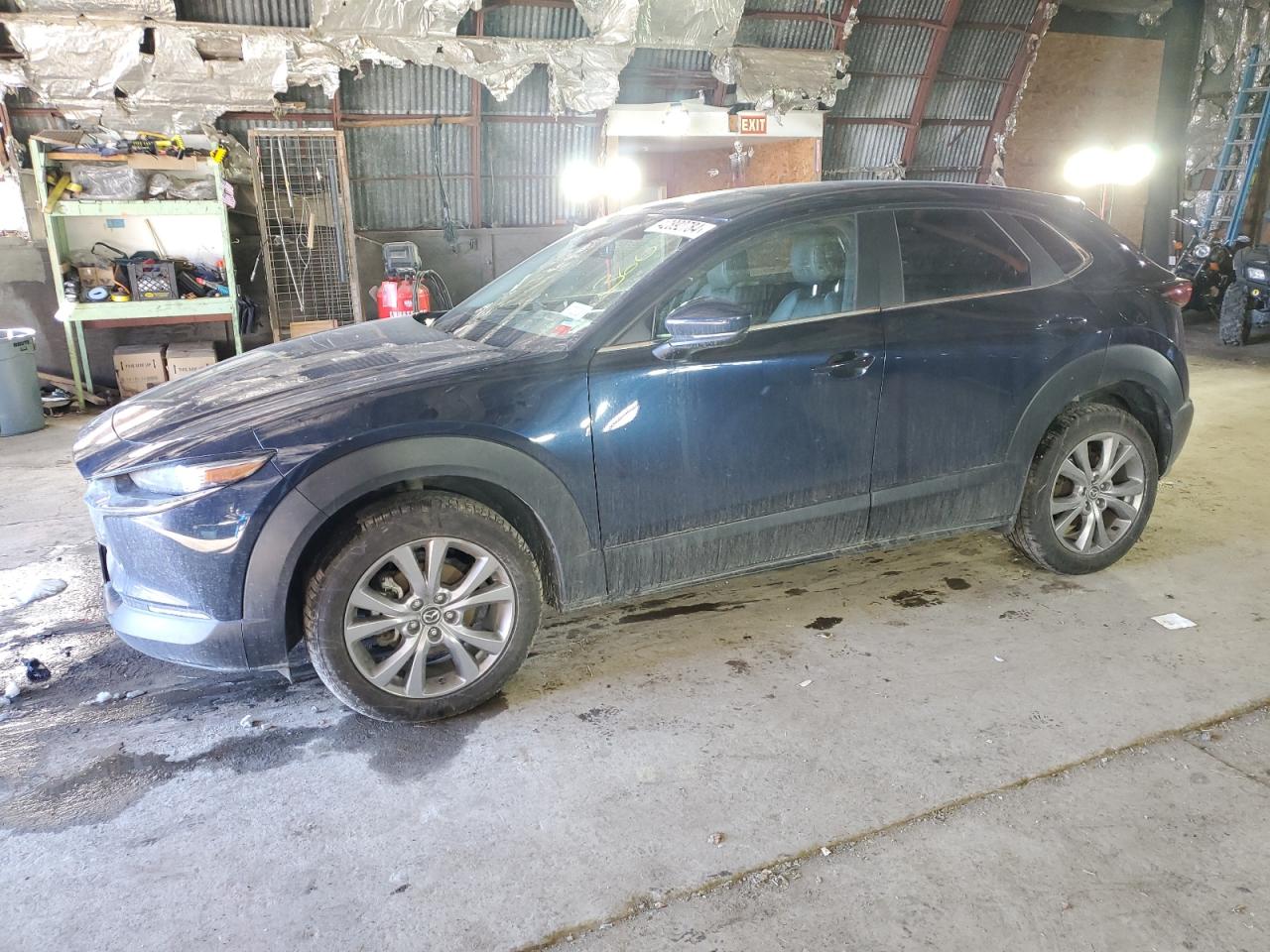 Mazda Cx-30 (2020)