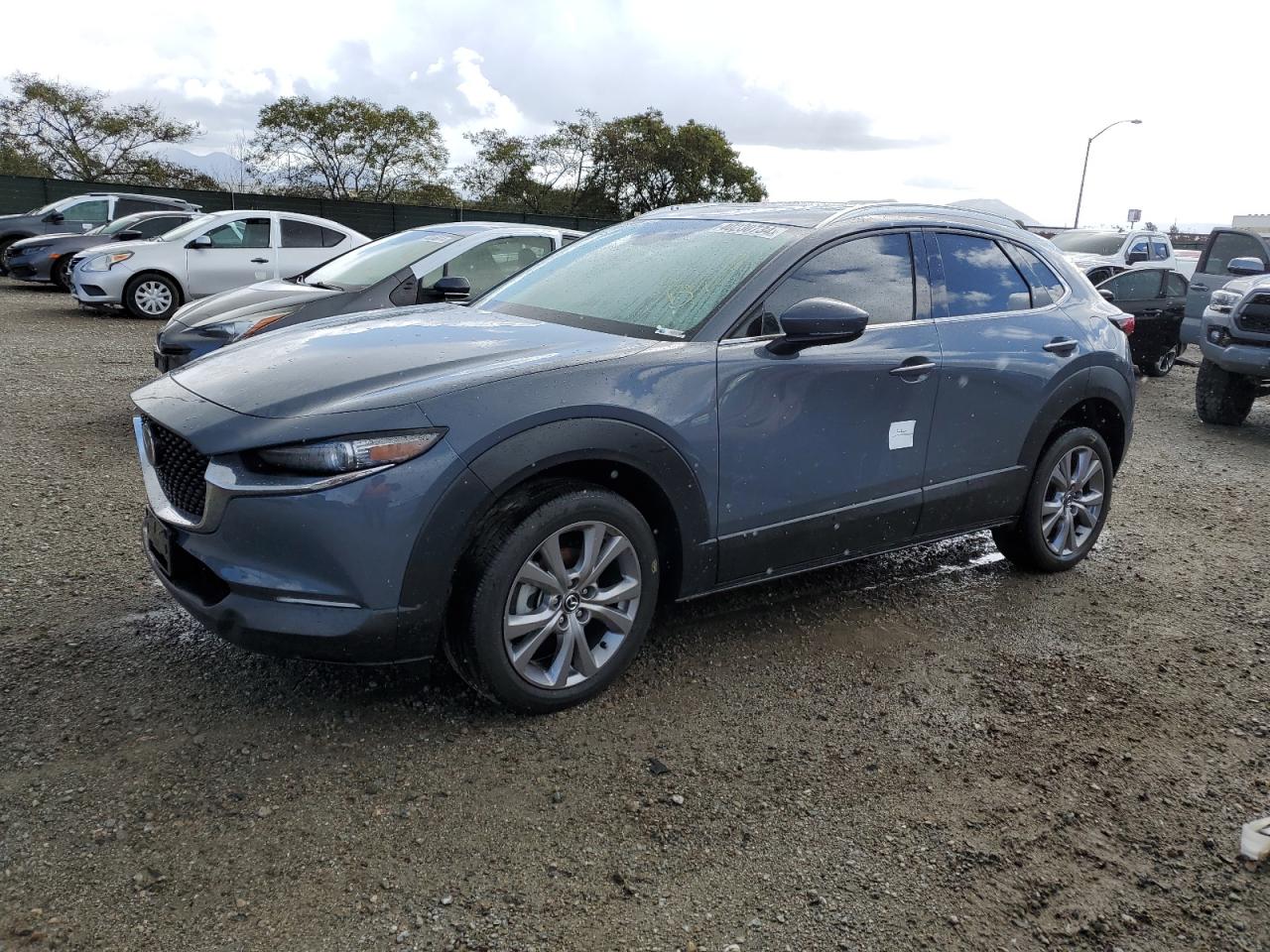 Mazda Cx-30 (2021)