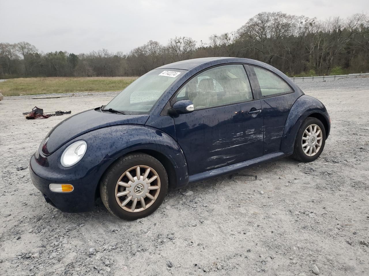 Volkswagen Beetle (2004)
