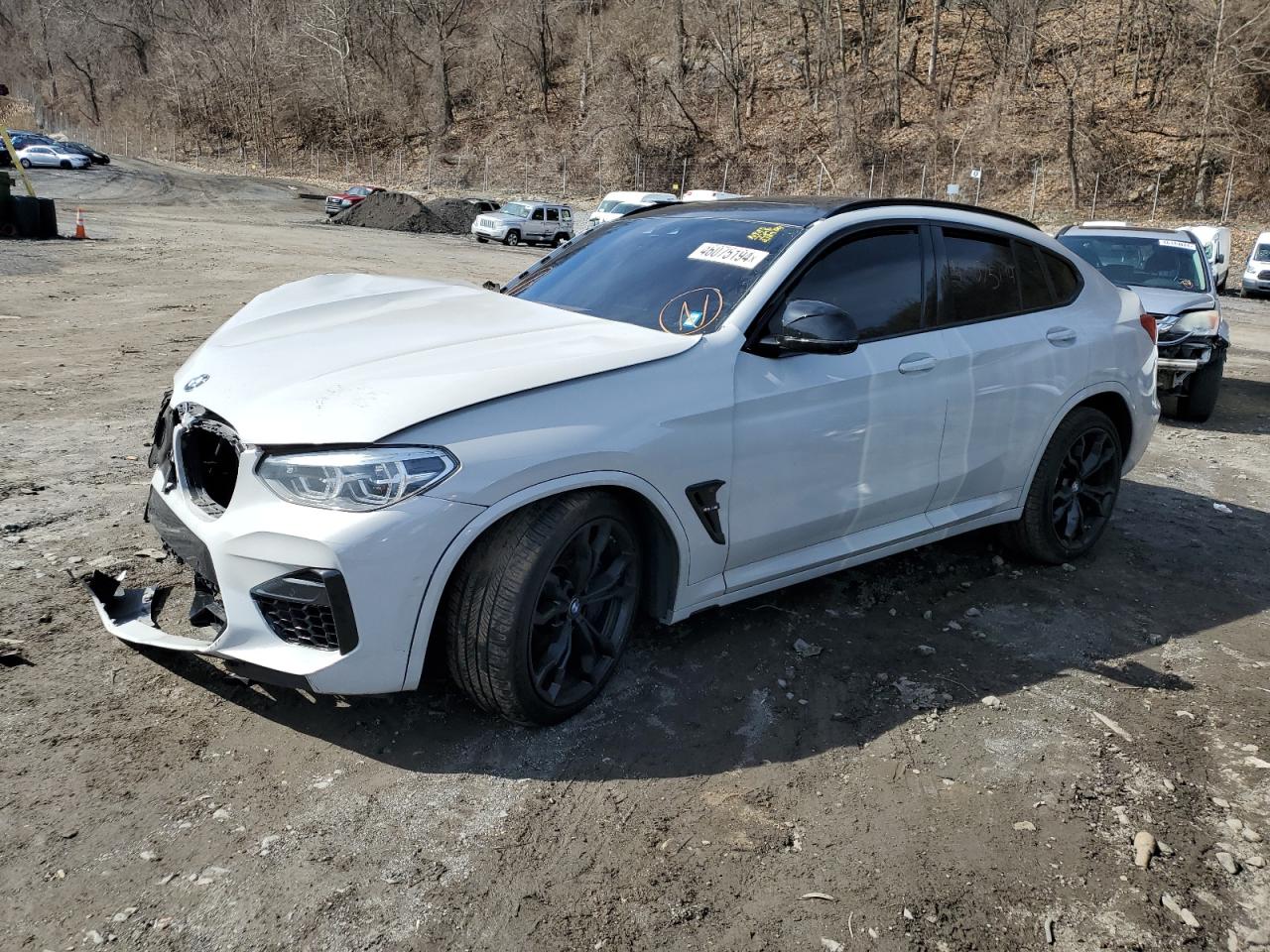 Bmw X4 (2021)