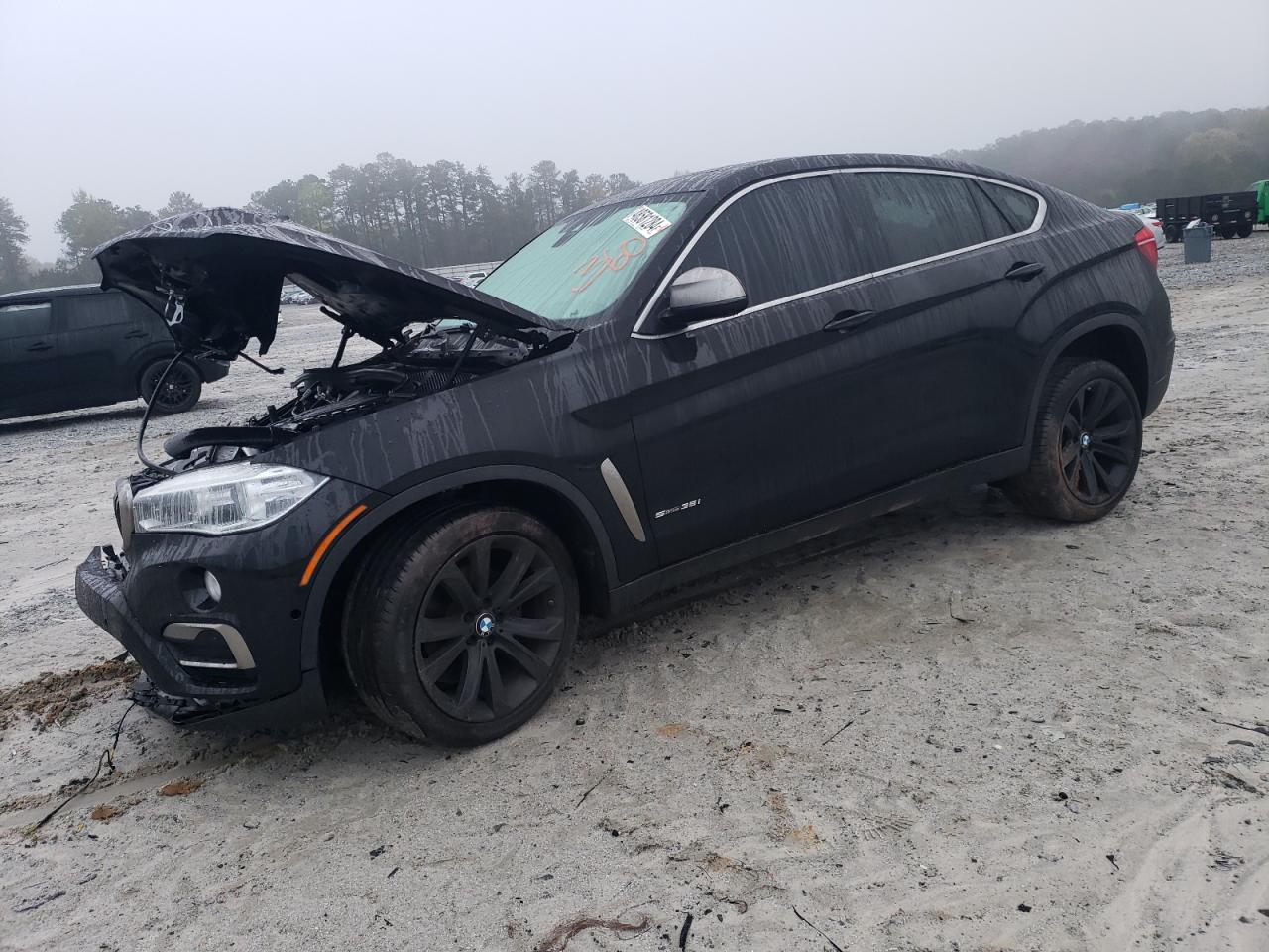 Bmw X6 (2019)