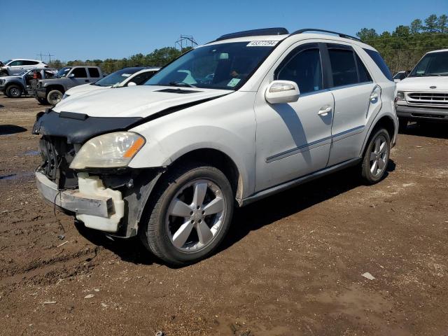 Mercedes-benz M-class (2010)