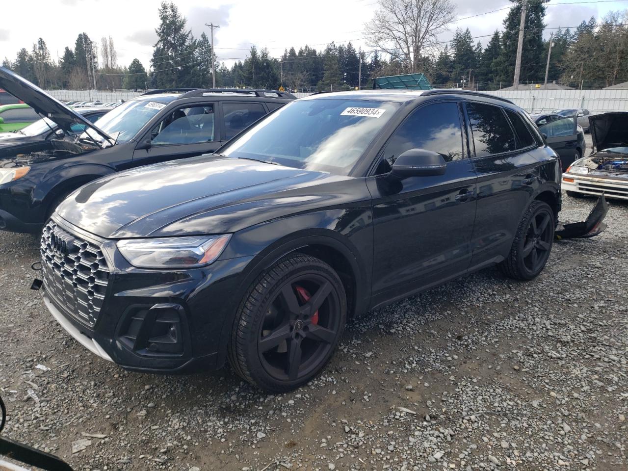 Audi Sq5 (2021)