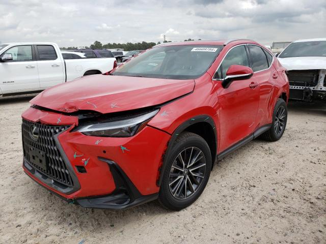 Lexus Nx 250 pre (2024)