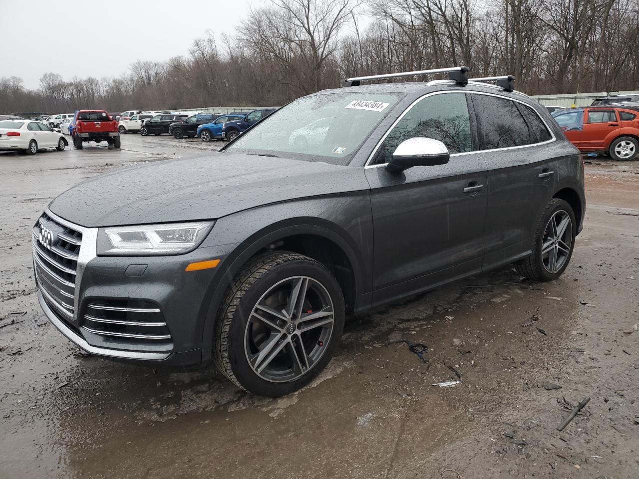 Audi Sq5 (2019)