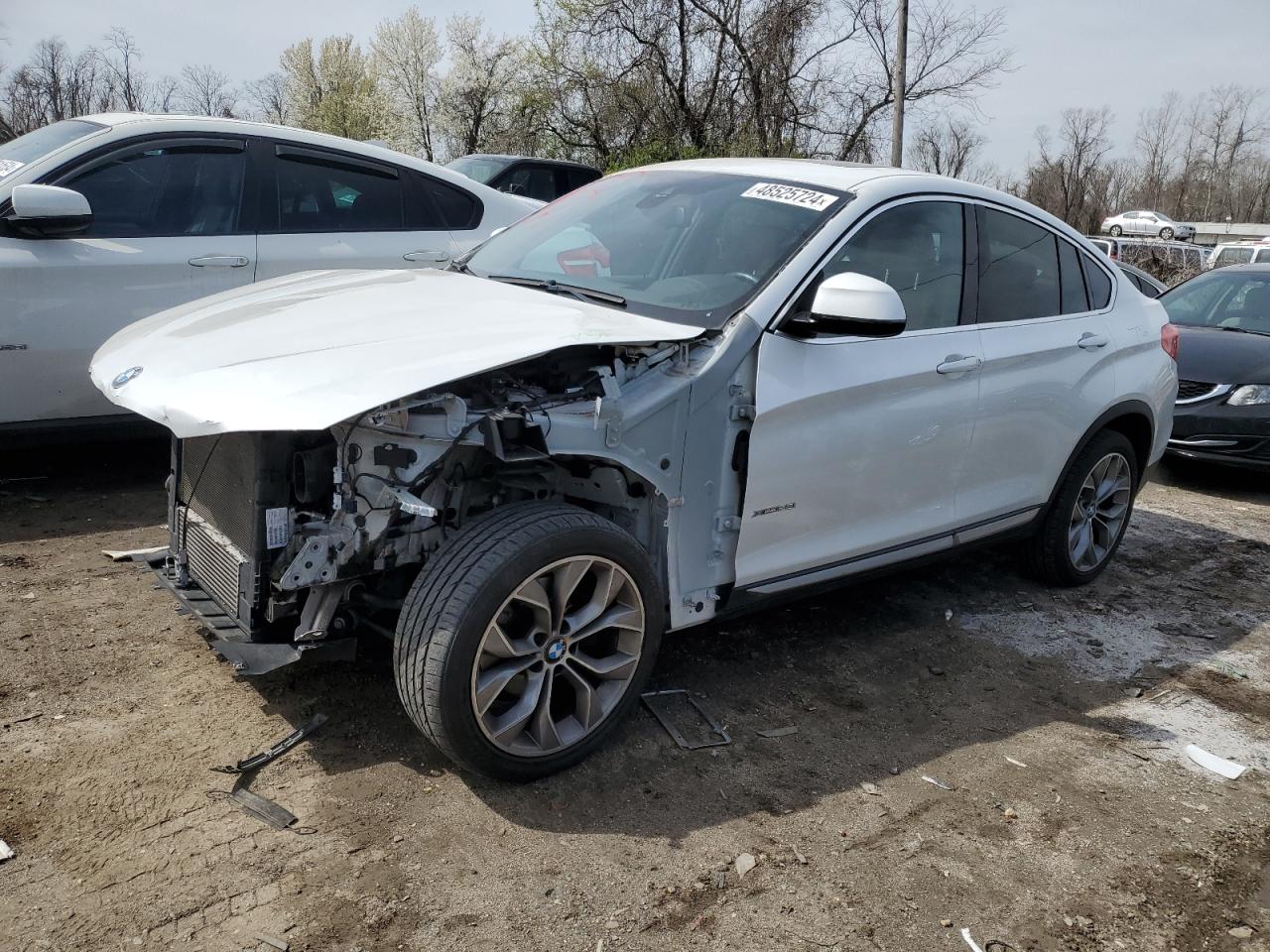 Bmw X4 (2018)