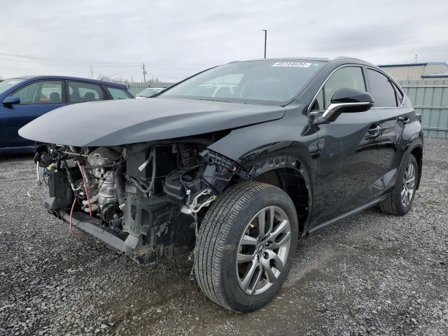 Lexus Nx 300 (2020)