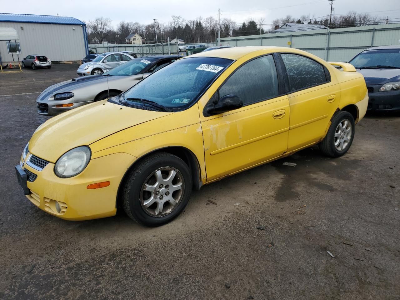 Dodge Neon (2003)