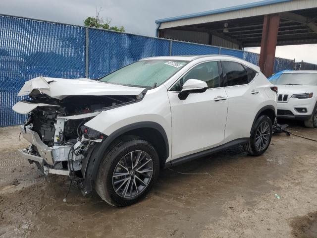 Lexus Nx 250 pre (2024)