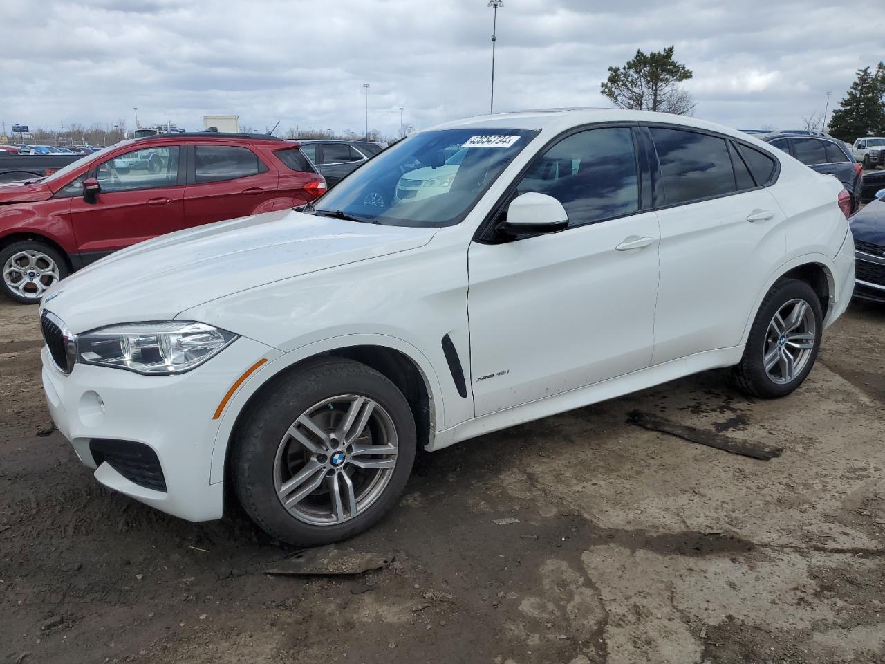 Bmw X6 (2018)