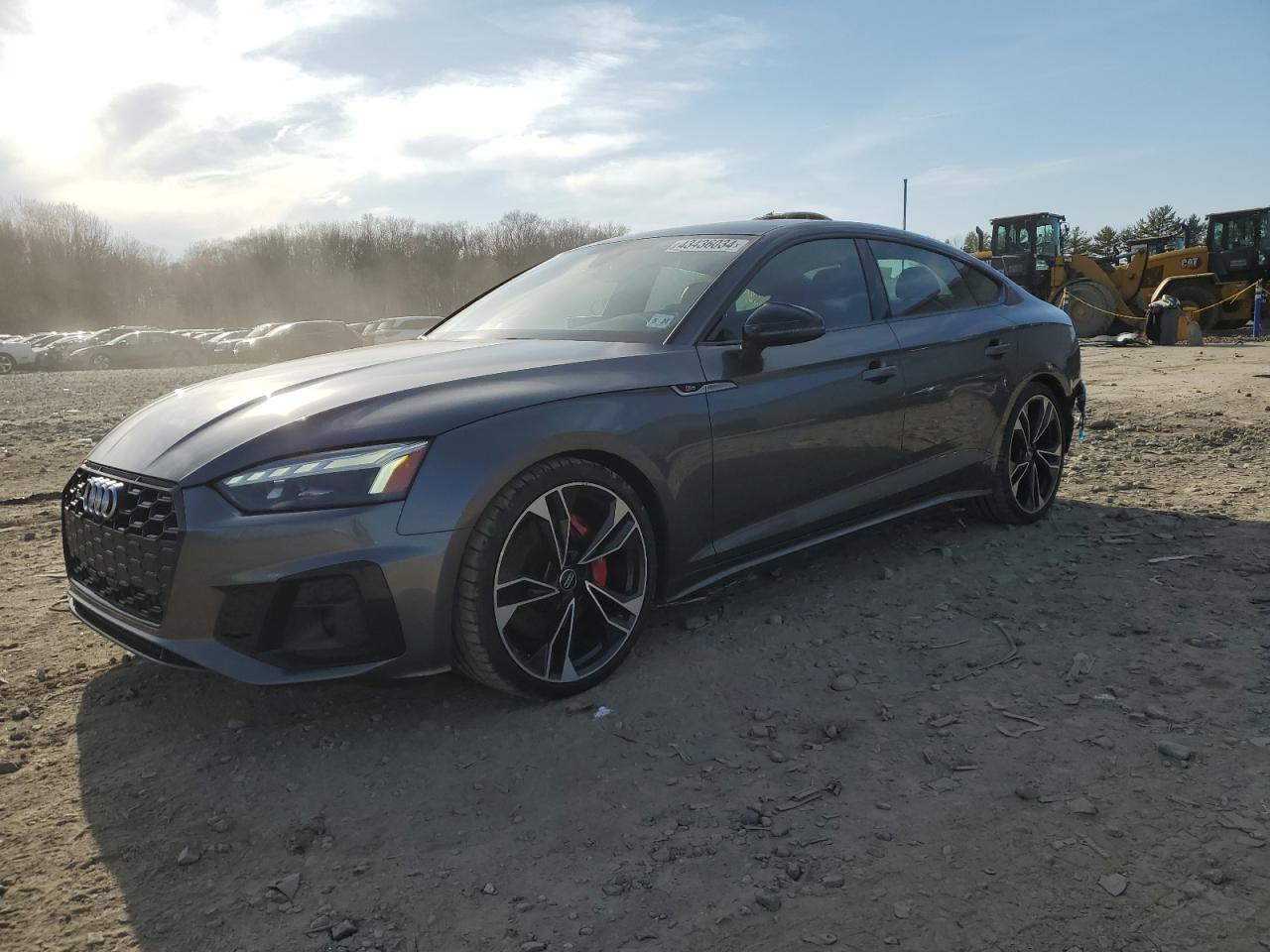 Audi Rs5 (2020)