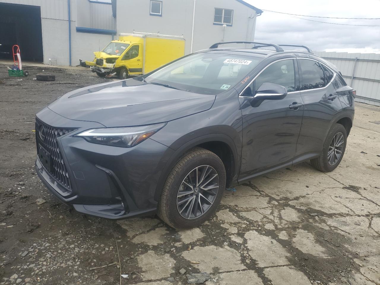 Lexus Nx-300h (2024)