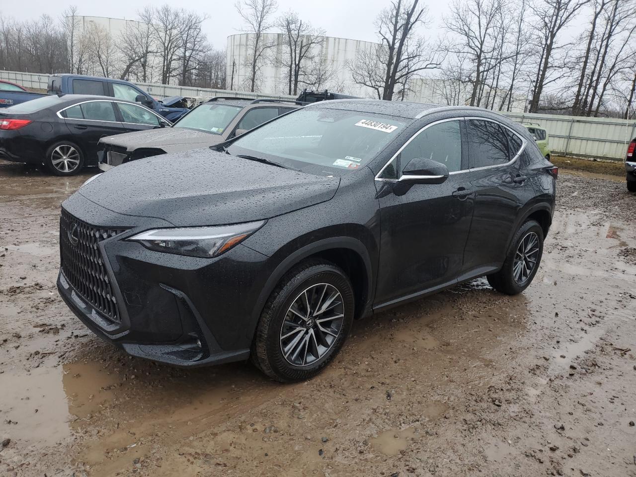 Lexus Nx-300h (2024)