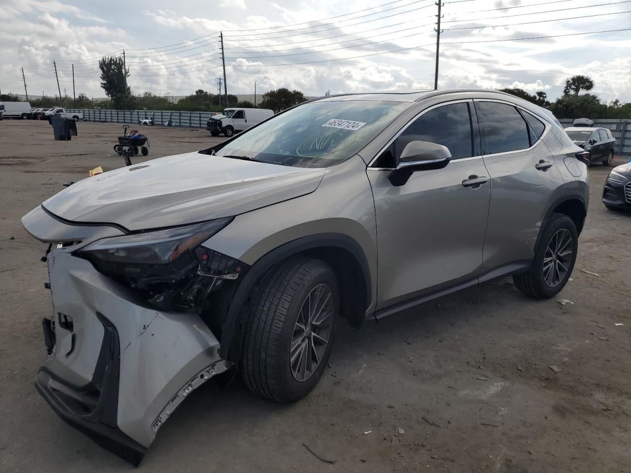 Lexus Nx-300h (2024)