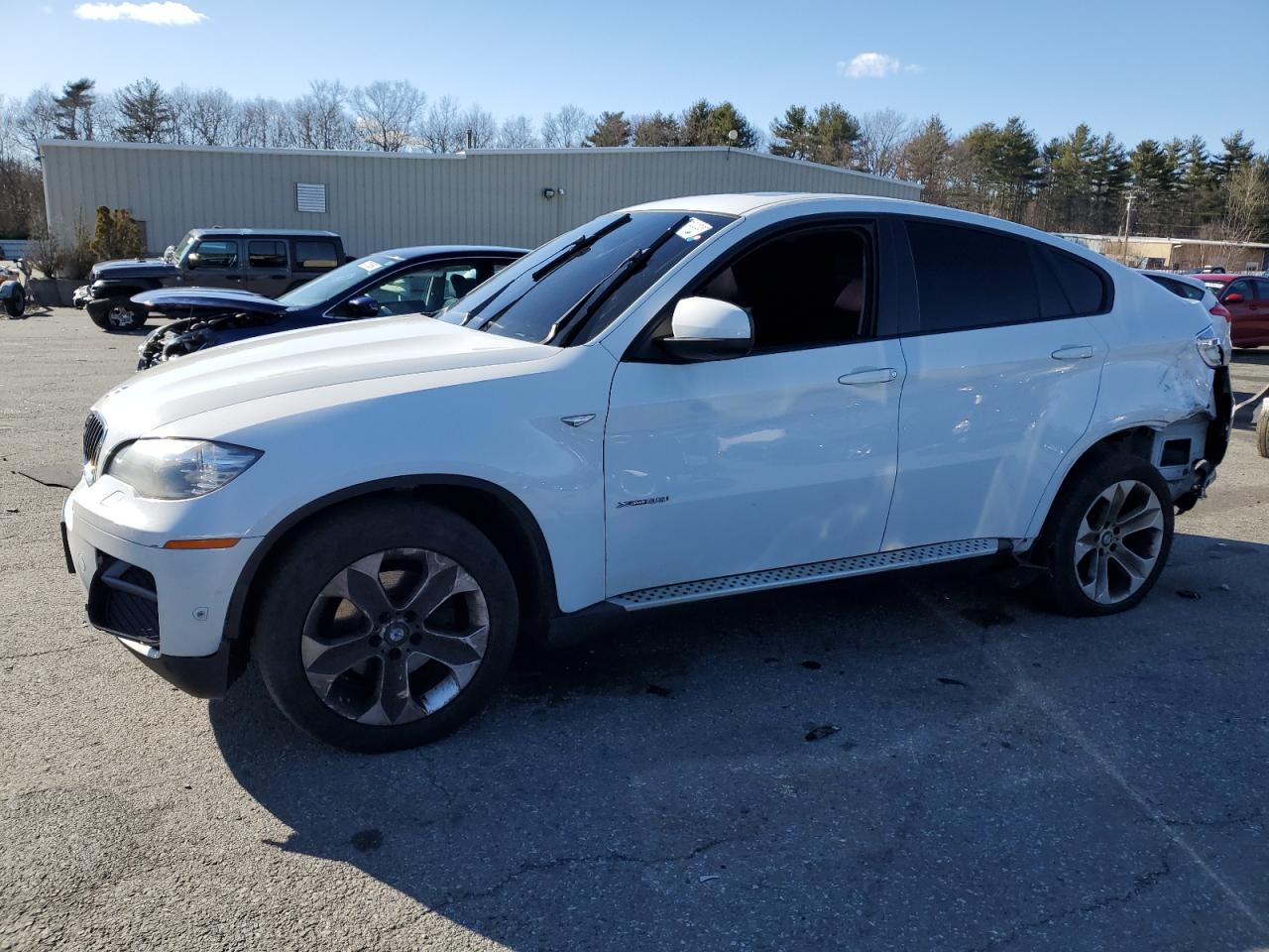 Bmw X6 (2014)