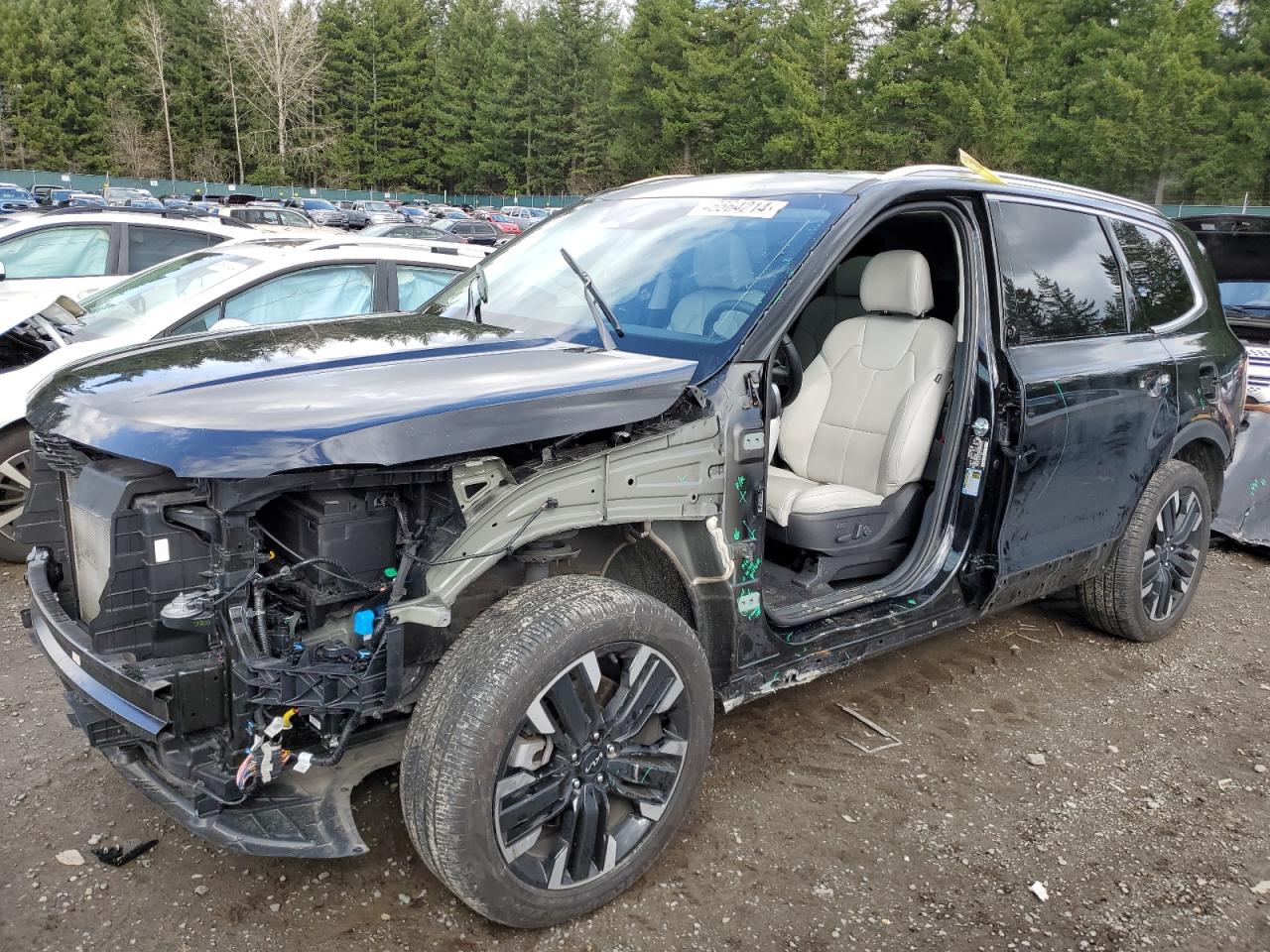 Kia Telluride (2024)