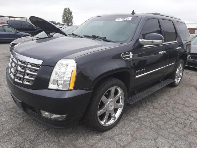 Cadillac Escalade (2010)