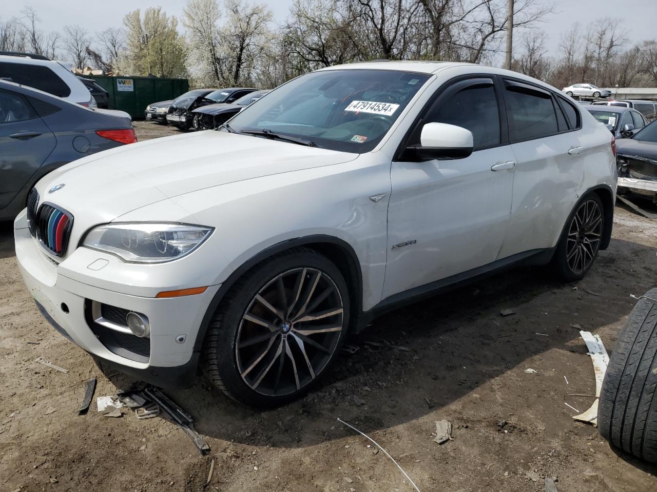 Bmw X6 (2014)