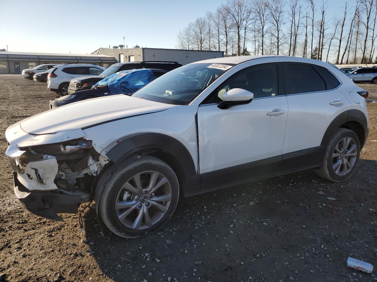 Mazda Cx-30 (2020)