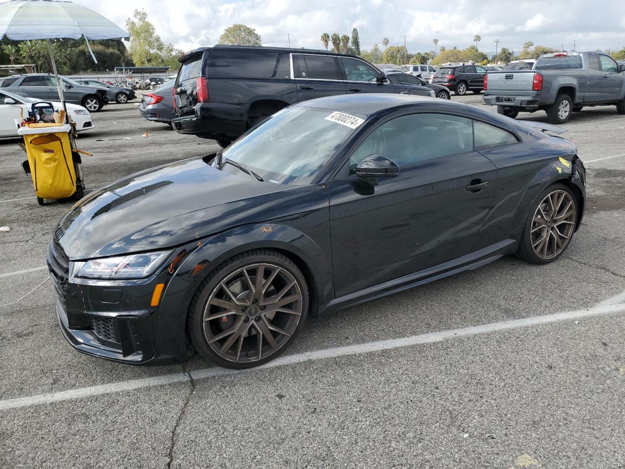 Audi Tts (2023)