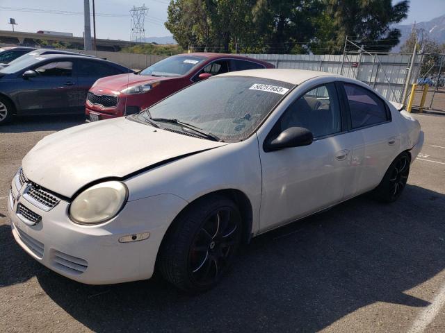 Dodge Neon (2005)