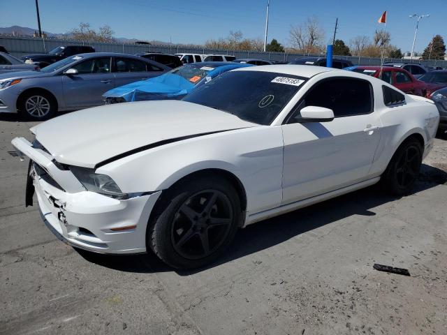 Ford All models (2013)
