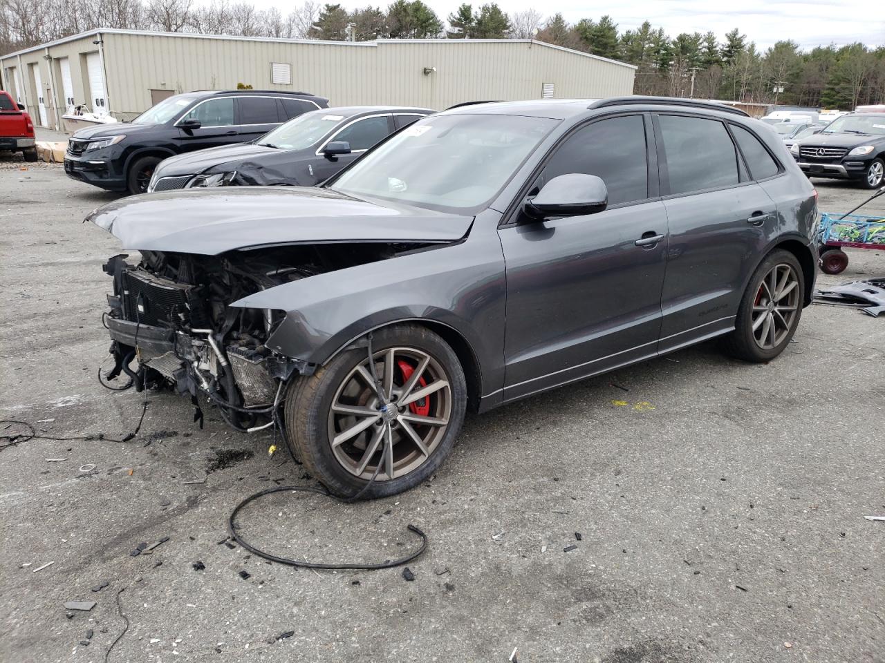 Audi Sq5 (2016)