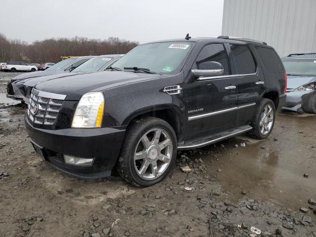 Cadillac Escalade (2014)