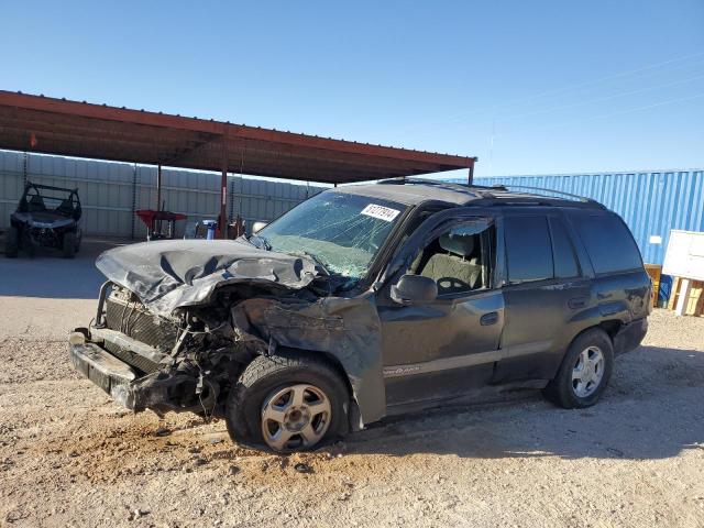 Chevrolet Trailblzr (2003)