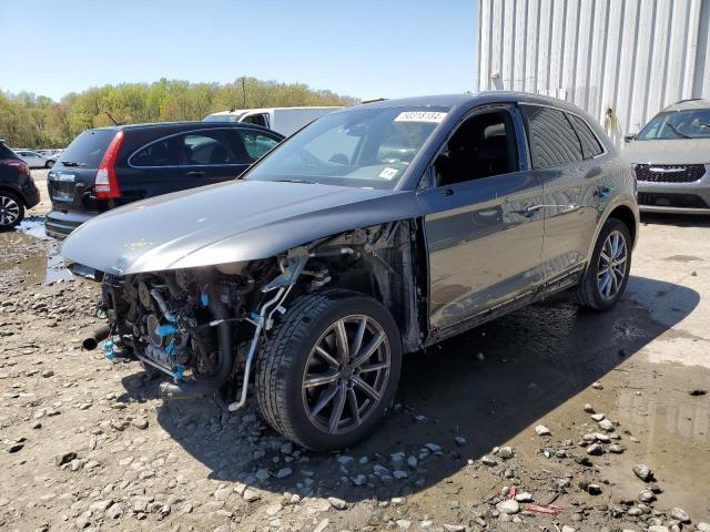 Audi Sq5 (2022)