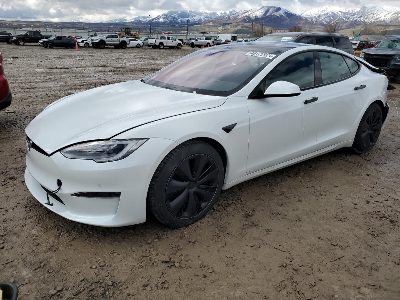 Tesla Model s (2021)